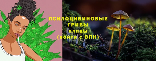 PSILOCYBIN Белокуриха